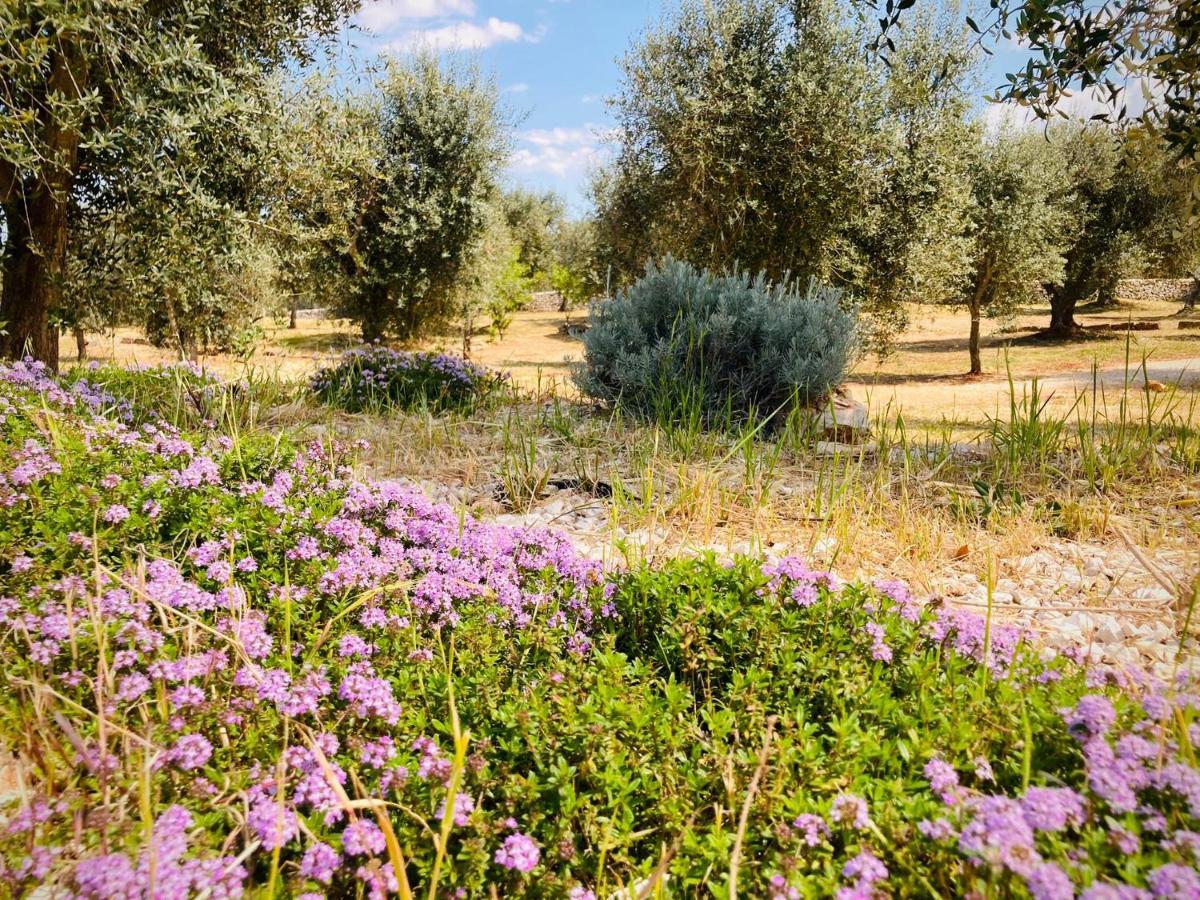 Trulli Acquasala - Apulian Country Experience Ostuni Exterior foto